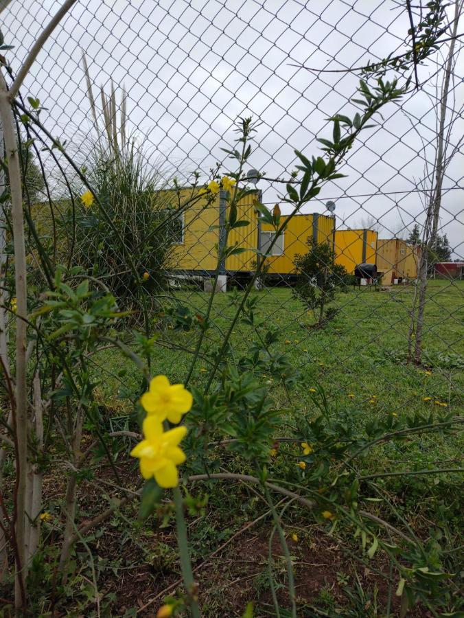 Terrabox Apart De Contenedores Olivera Eksteriør bilde